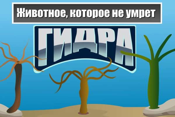 Kra49.cc Вход на сайт главная страница