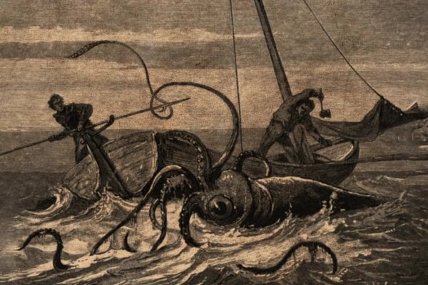 Ссылка для входа на сайт kraken