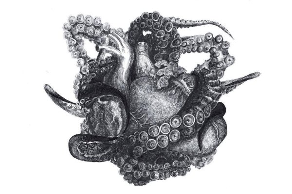 Kra49.cc