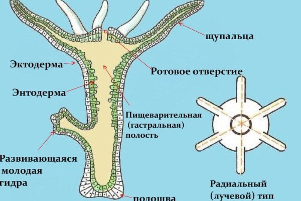 Сайт мега кракен