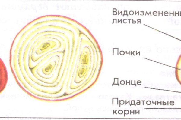 Скрытый интернет как войти