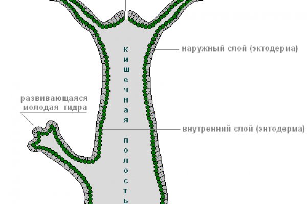 Кракен ссылка германия