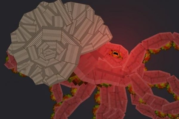 Kraken рабочий