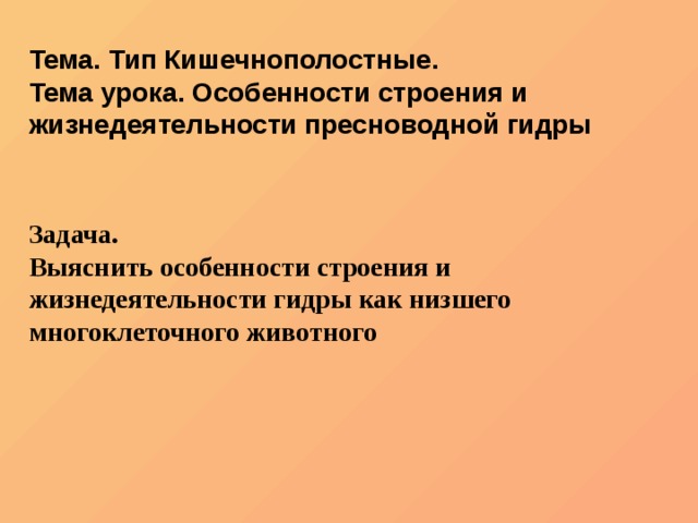 Kra39.at