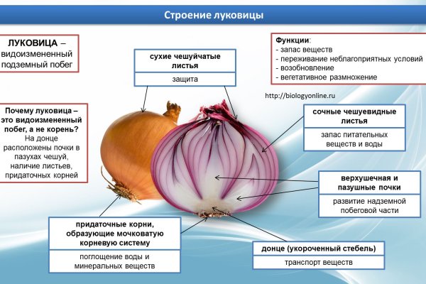 Тор для кракена