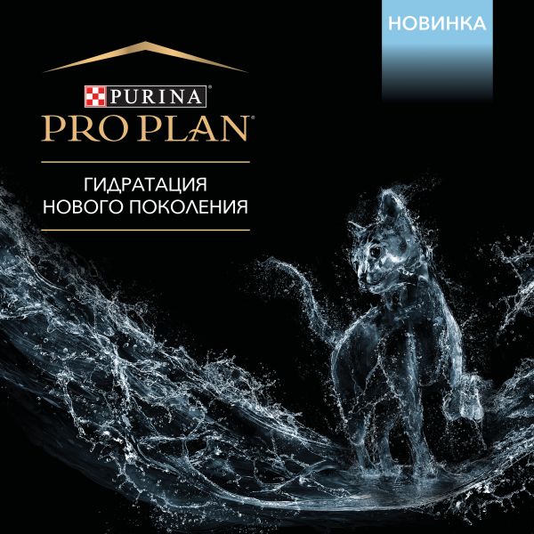 Как зарегистрироваться на кракене из россии