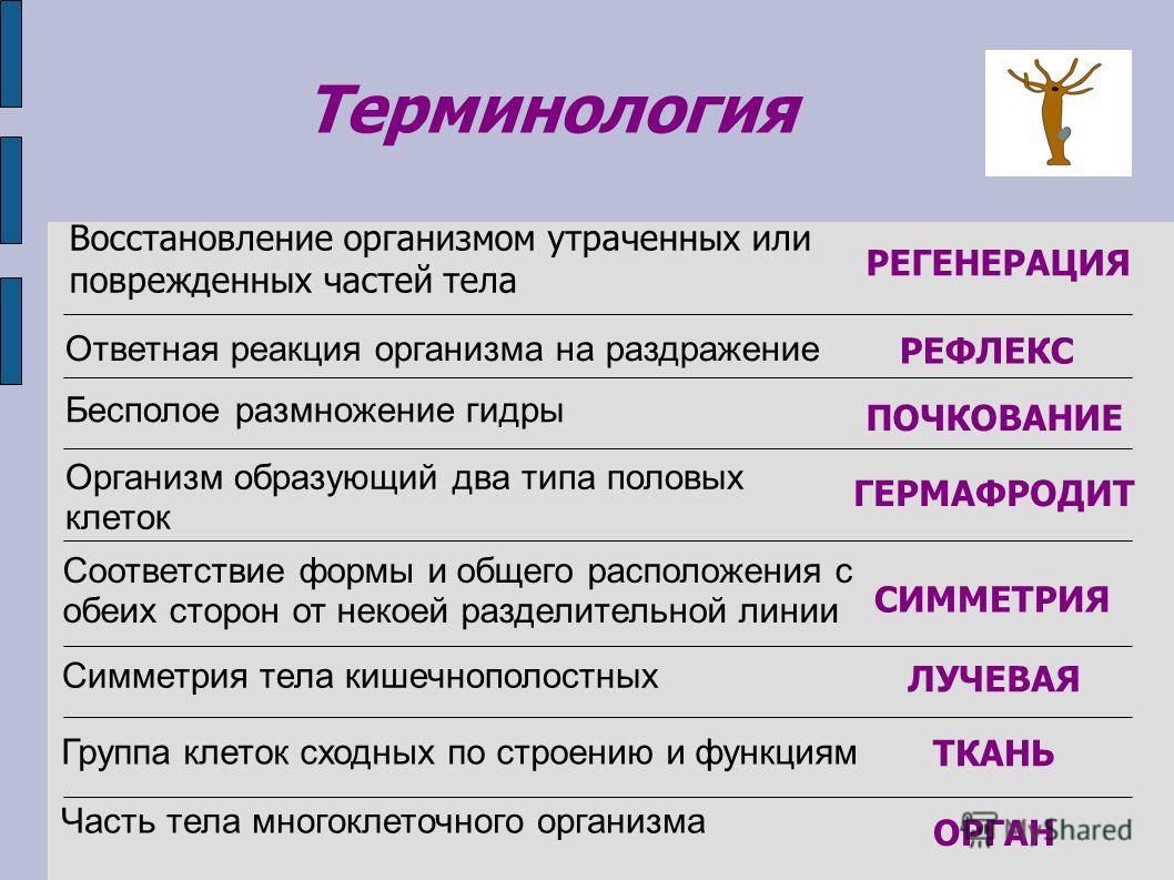 Как зайти в кракен